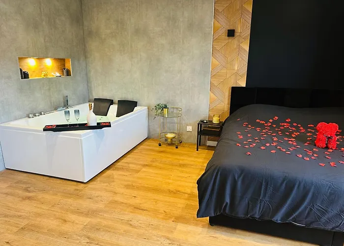 דירה Le Temple - Au Coeur Des Remparts קלרמונט-פרנד